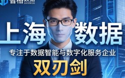 上海贝格数据怎么样，上海贝格数据是正规公司吗