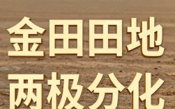 济南金田土地怎么样，济南金田土地评价