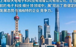 上海硕大电子科技有限公司怎么样，上海硕大电子科技有限公司靠谱吗