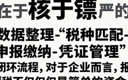 怎么进行报税？新手报税流程详细步骤