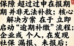 社保超过申报期怎么办？还能补办吗？