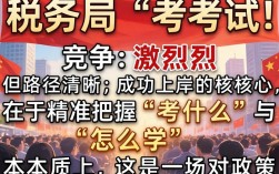 税务局怎么考？报考条件及流程详解