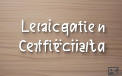 CATTI考试，中国翻译专业资格认证的权威之路