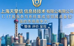 上海天擎信息技术有限公司怎么样，上海天擎信息技术有限公司靠谱吗
