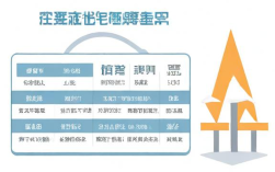 公司如何进行征信查询？